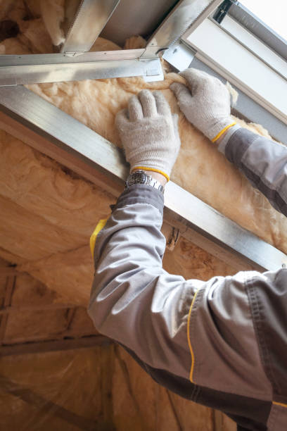 Types of Insulation We Offer in Lathrop, CA